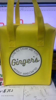 パーソナライズド カラー ノンウェブン 隔熱 ランチ クーラー ショッピング バッグ ピクニック アイスクリーム パック