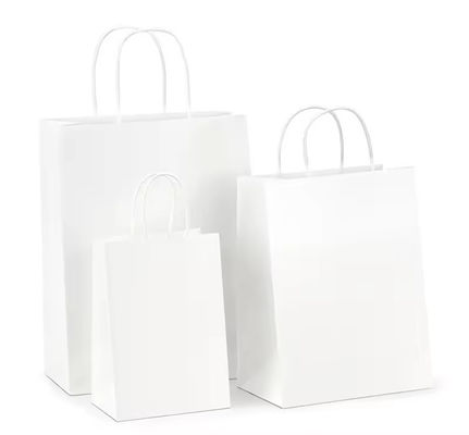 印刷されたロゴとOEM/ODMが受け入れられる紙の折りたたまれたハンドルショッピングギフトキャリバッグ